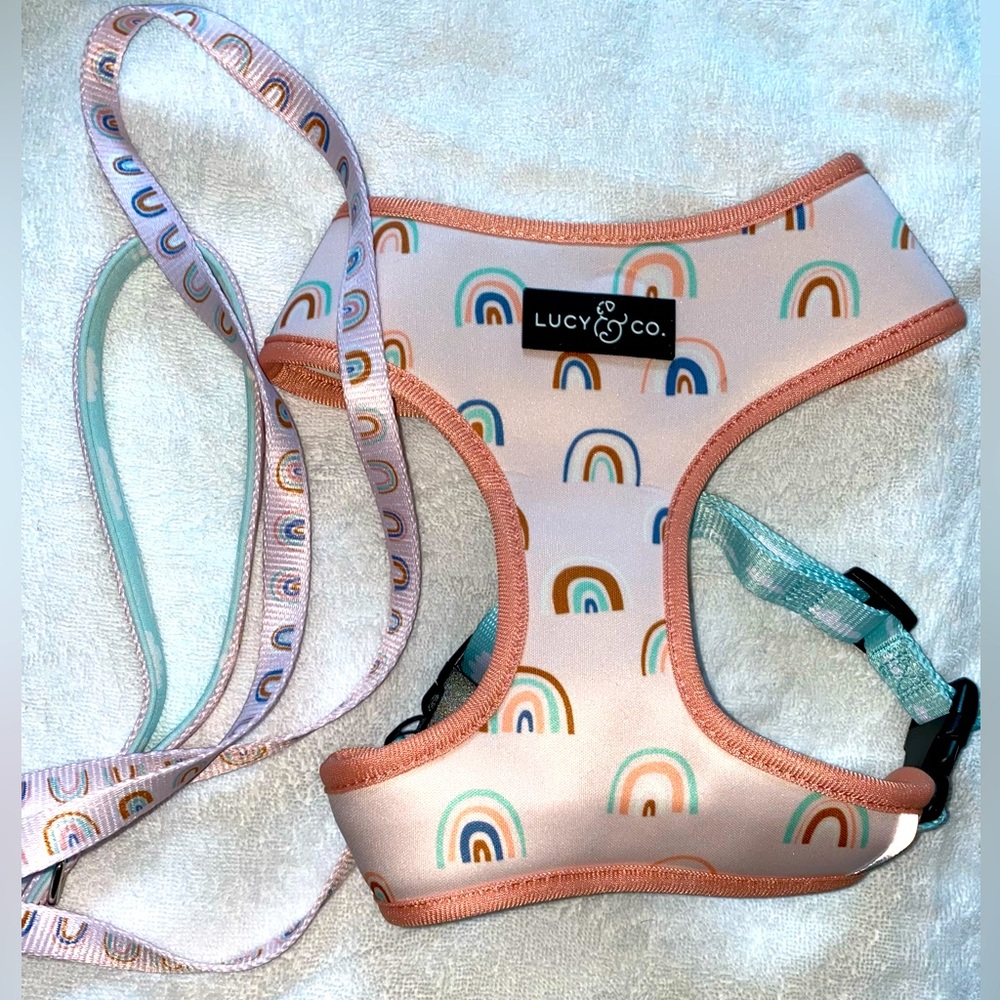 LUCY & CO In the Clouds Rainbow Reversible Harness & Leash • Large